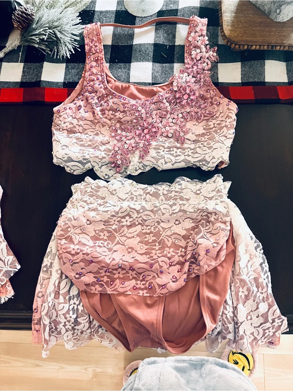 Embellished Pink Lace Crop Top and High-Waist Brief Set with appliqué